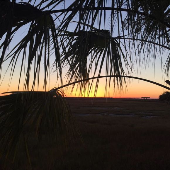 Meet your Posher, Lola - Picture 1 of 1